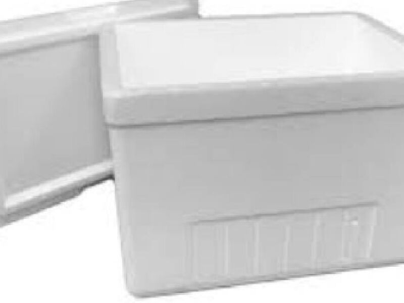 Caja Plumavit 019 Lts