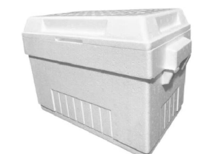 Caja Plumavit 029 Lts