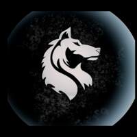 MasterWolf Agencia
