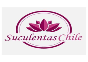 Suculentas Chile