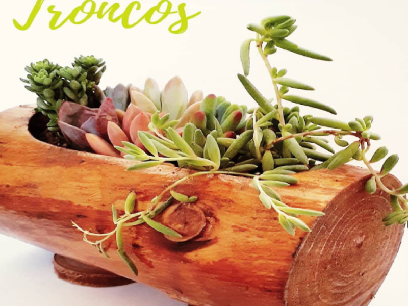 Troncos Rústicos Decorativos Chile