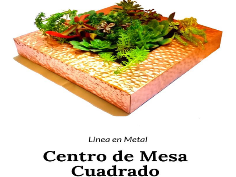Centro de Mesa con Suculentas Chile