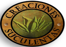 Creaciones Suculentas