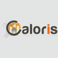 Caloris