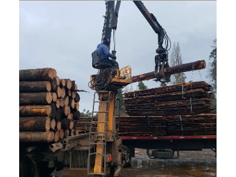 Madera tronco Chile
