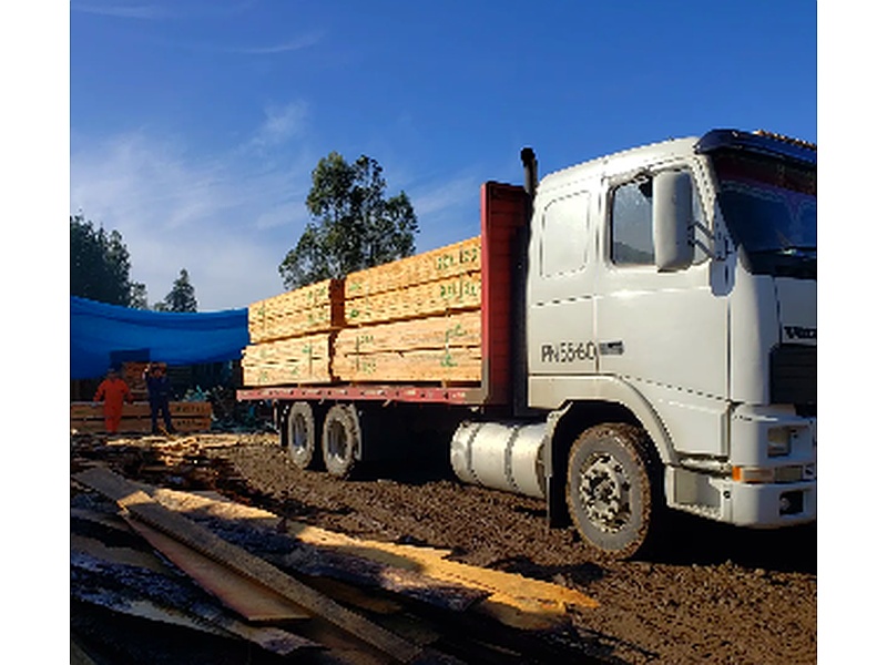 Madera placas Chile
