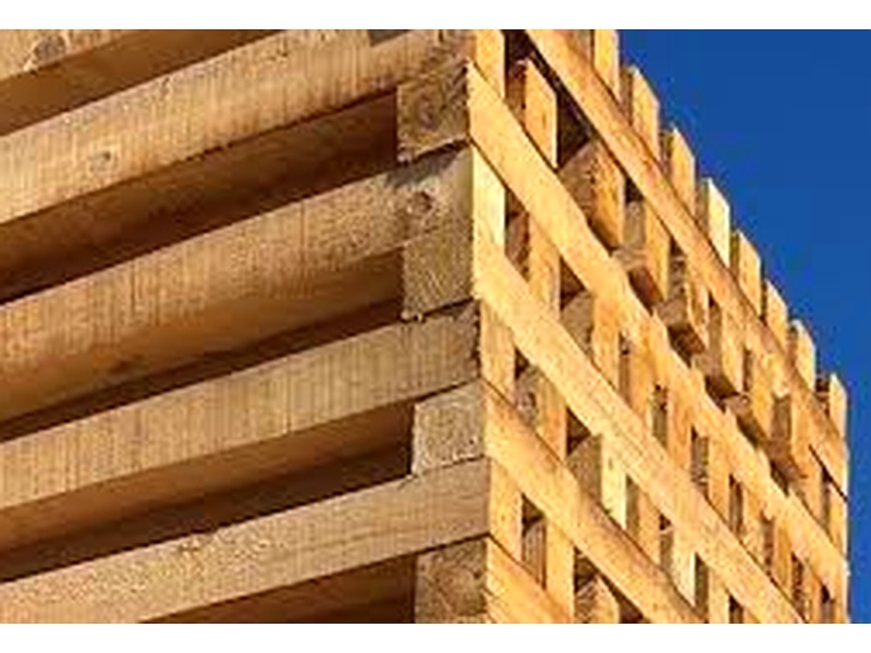 Madera polines Chile