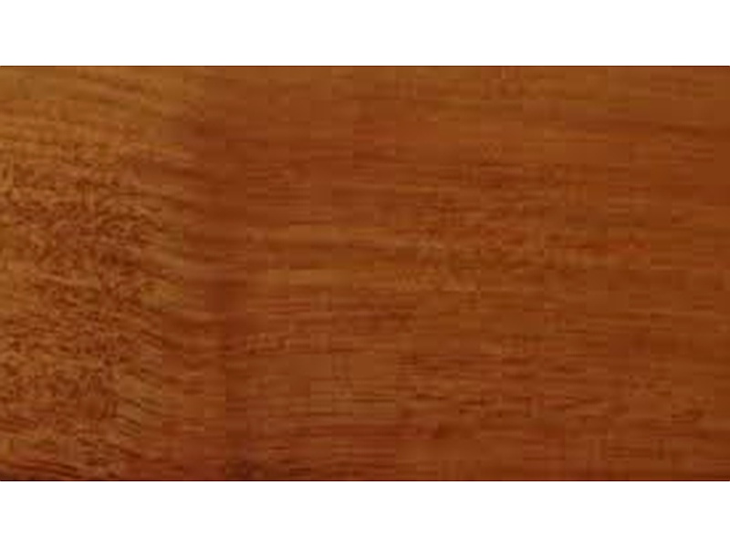 Madera lingue Chile