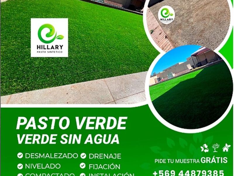 Pasto verde sin agua Chile