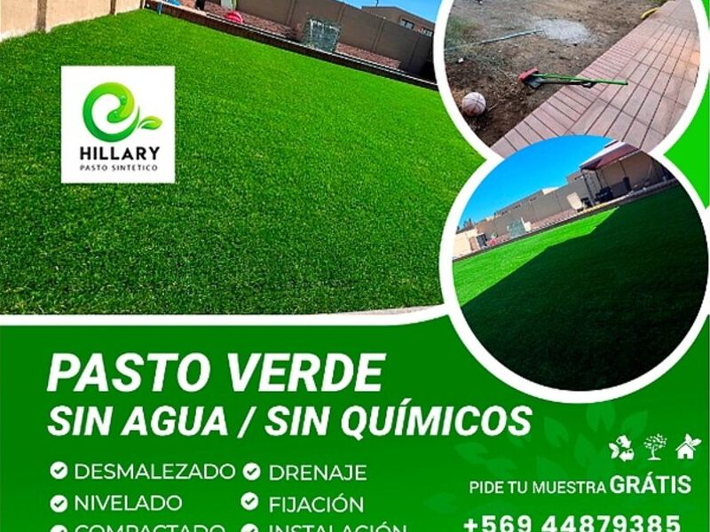 Pasto verde sin agua sin químicos Chile