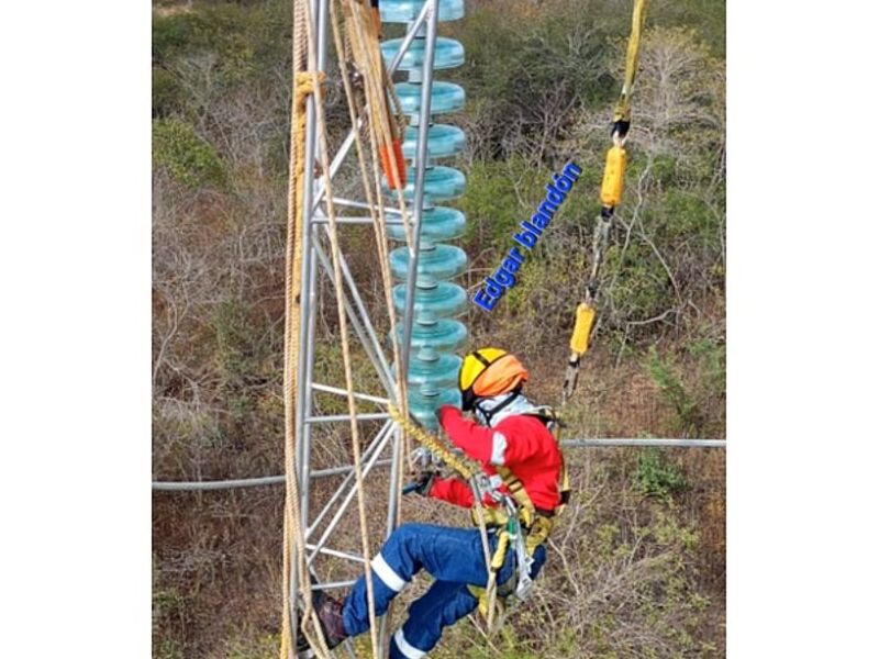 Electrocarga