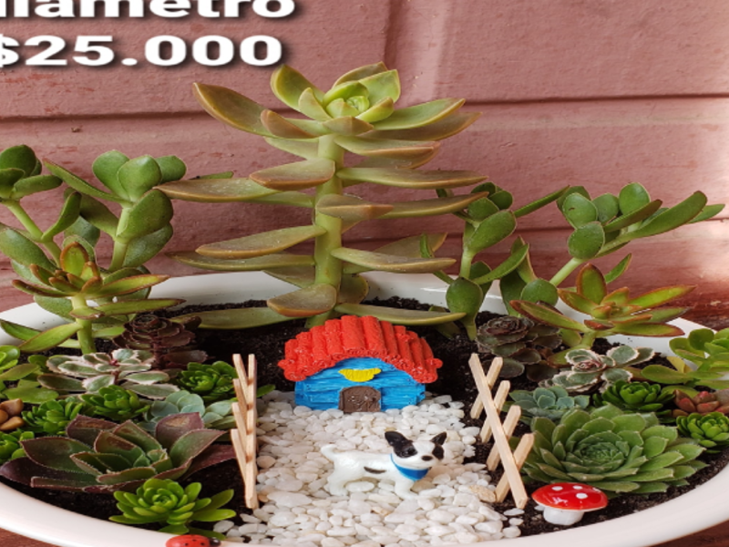Mini Jardines Chile