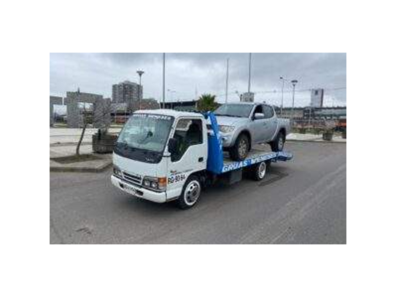 Camion grua pluma Biobio