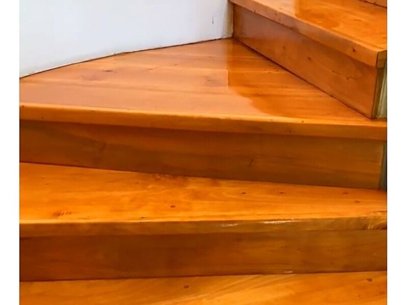Pulido fino y vitrificado de escala