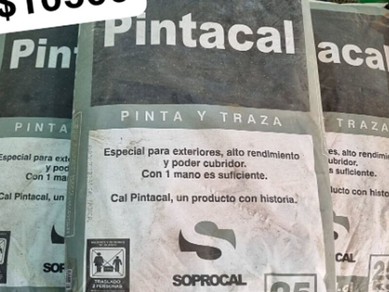 Pintacal Chile 