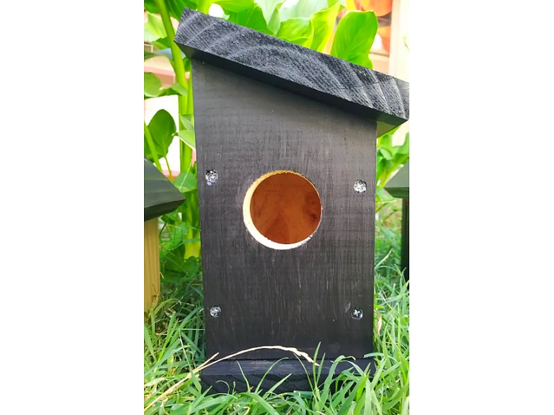 Casa madera pájaros Chile