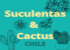 Suculentas y Cactus