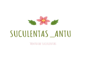 Suculentas antü