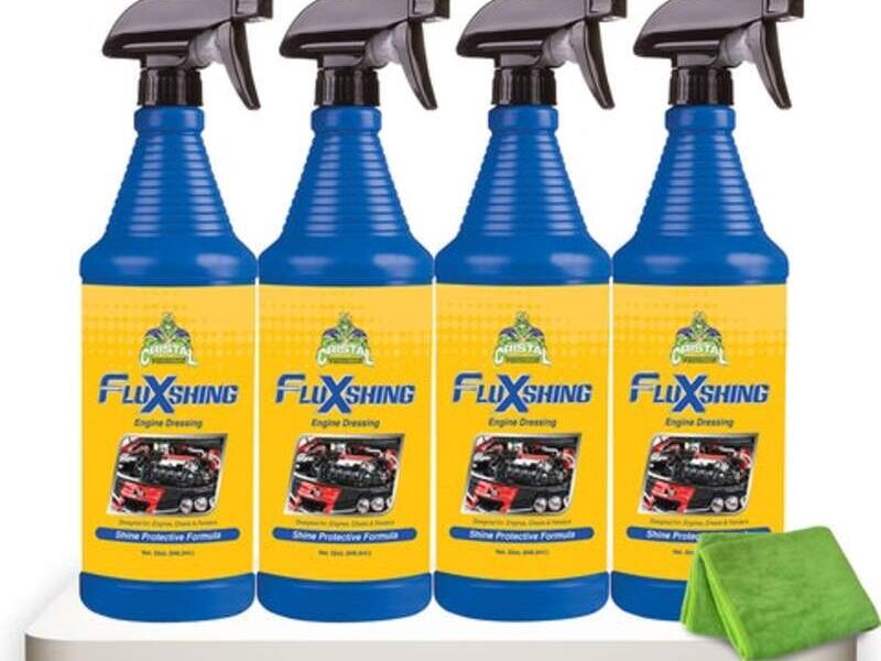 Fluxshing Chile