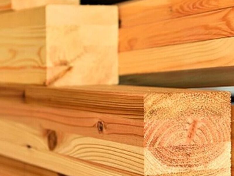 Madera haya Chile
