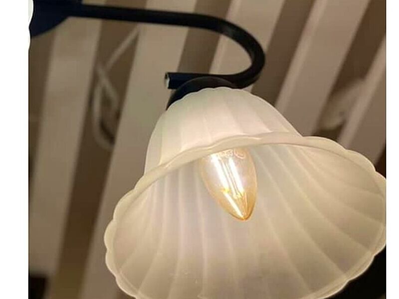 Lámpara colgante flor blanca Concepción