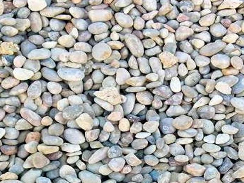 Garbancillo Temuco