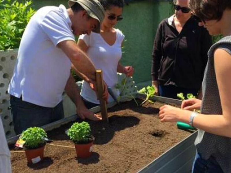Taller de Huerto Urbano Chile 