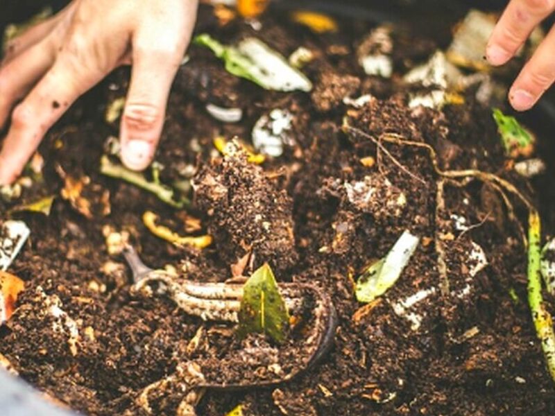 Vermicompostaje Chile 