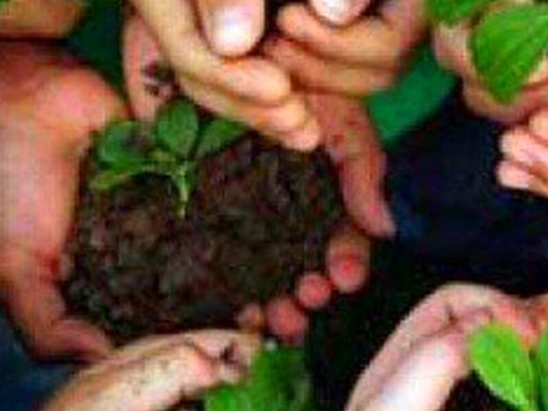 Programas de educación ambiental Chile 
