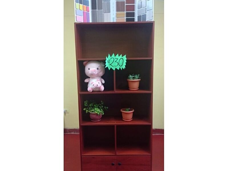 Organizador Chile