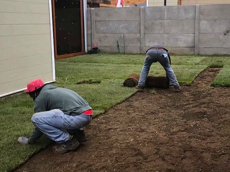 Instalación de césped en rollo