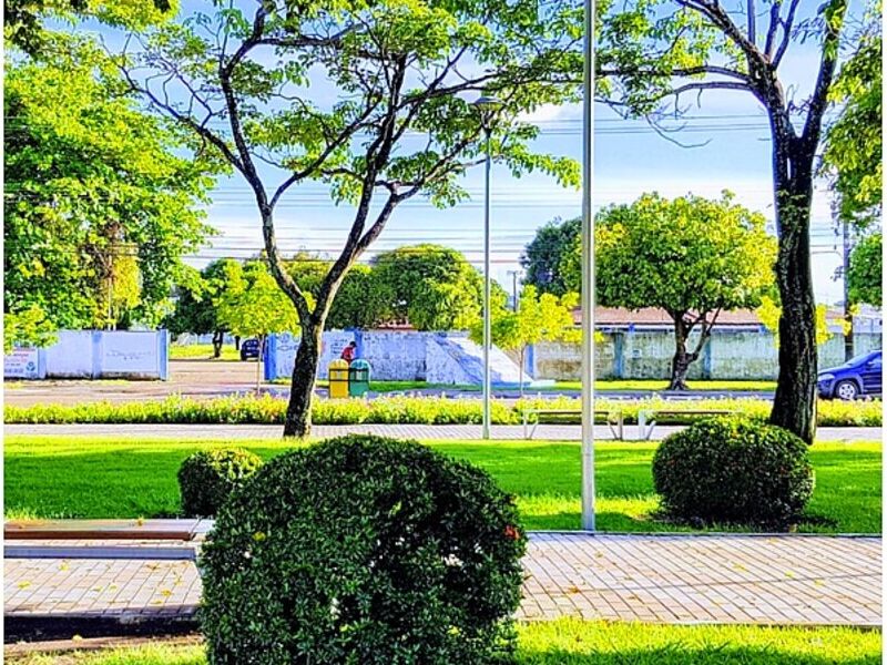 Mantenimiento de áreas verdes