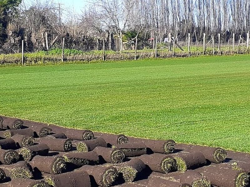 Instalación de césped 