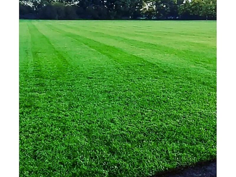Césped en rollo para terreno