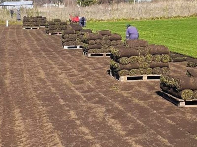 Instalación de hierbas