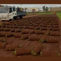 Pasto por Rollo los Ángeles