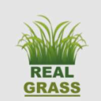 RealGrass
