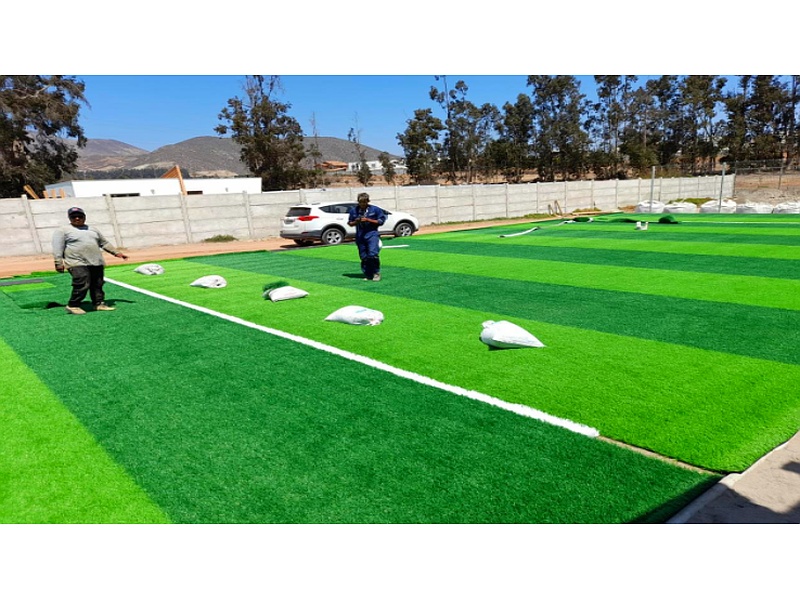 Pasto Sintetico Santiago |