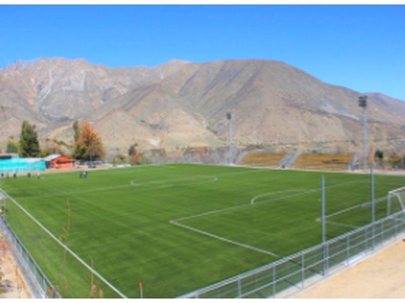 Pasto Sintetico Concepcion