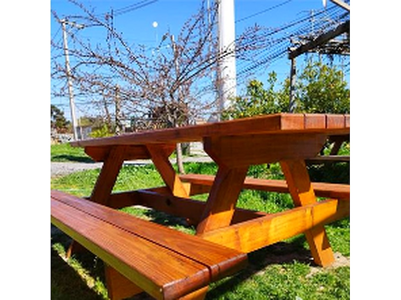 Comedor picnic Chile