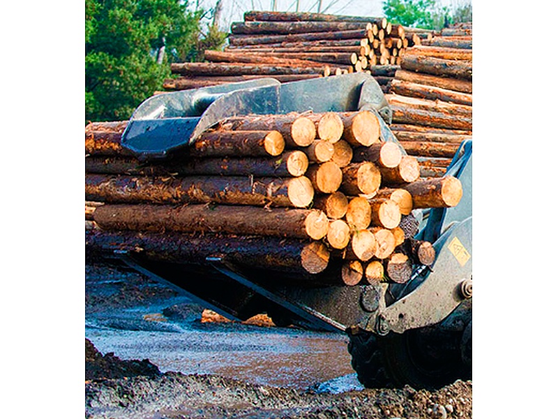 Troncos madera Chile