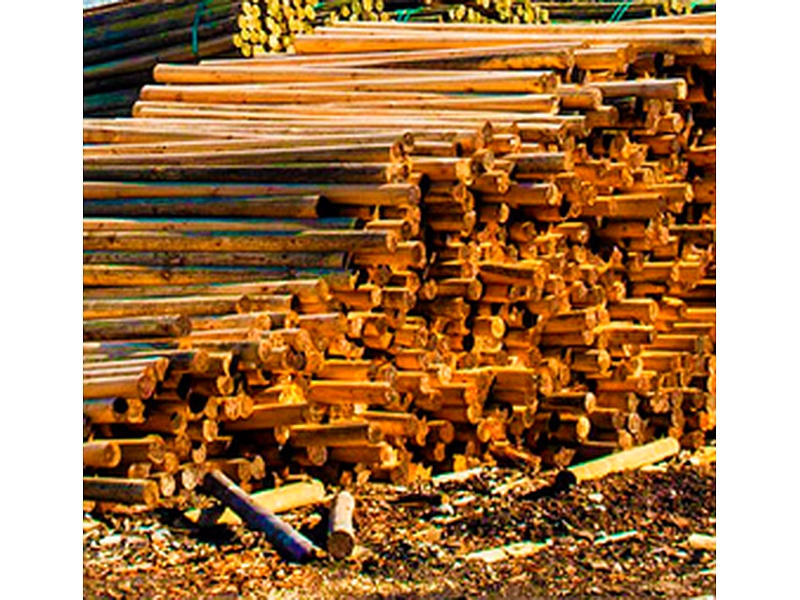 Listones madera Chile