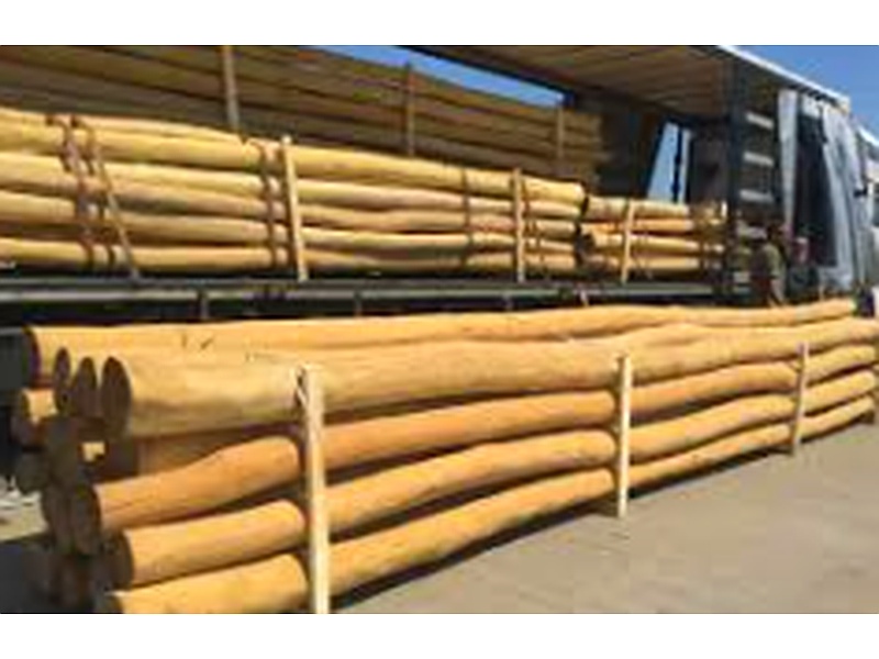 Madera postes Chile