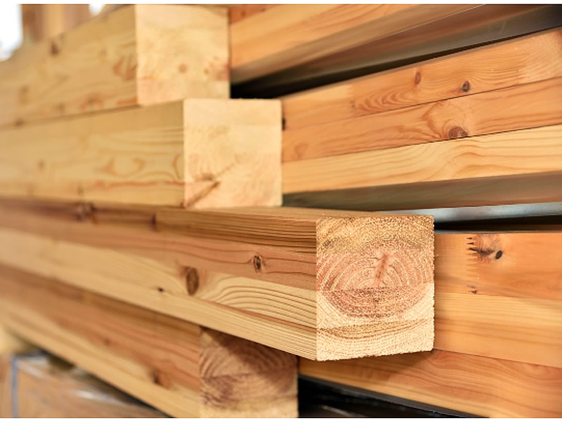 Madera haya Chile