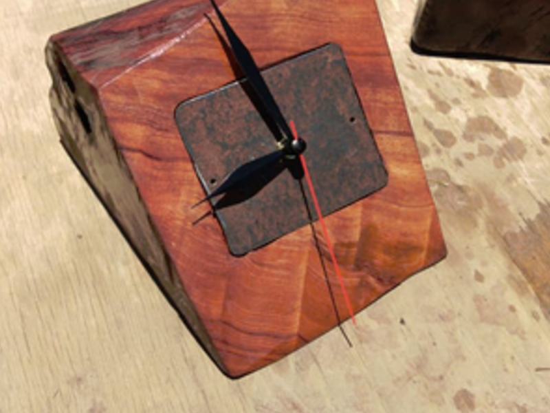 Reloj  VICUÑA