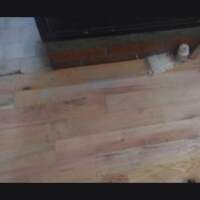Pisos De Madera Garces