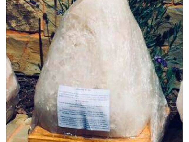 Lampara Sal Mediana Chile