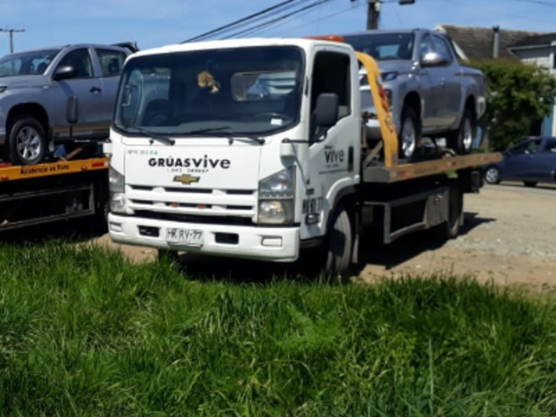 Gruas para transporte Chile