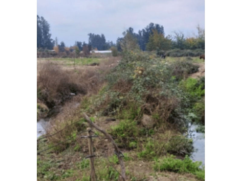 Monitoreo de calidad del agua CHILE