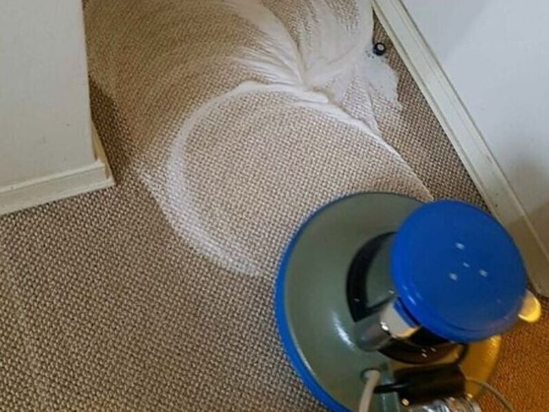 Servicio Limpieza Alfombras Chile